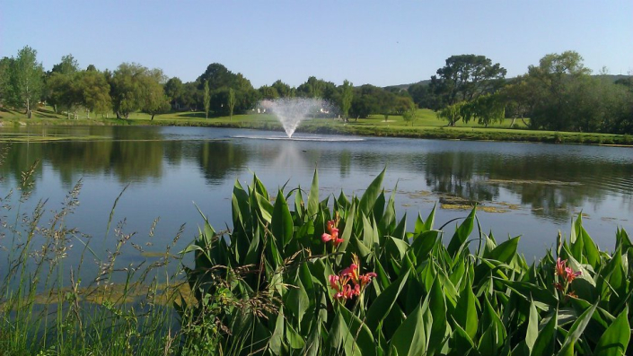 A water fountain in a pond.